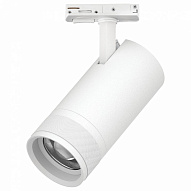 Светильник на штанге Lightstar Canno Pro C4306SS 500_191_3084229